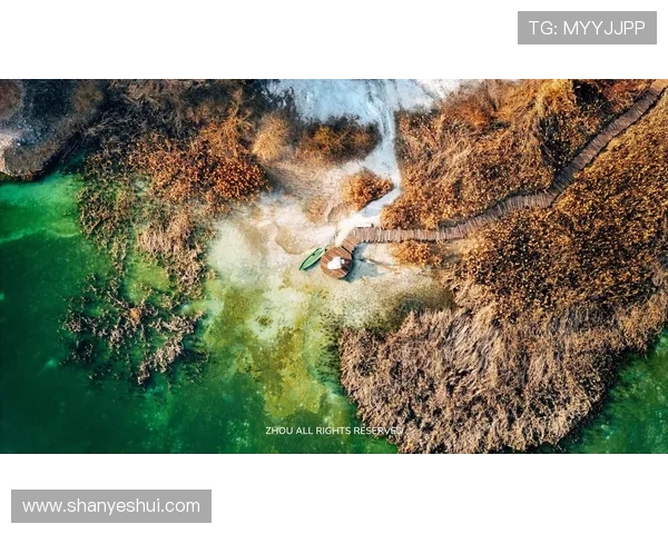 左树声的旋律与心灵的共鸣探索自然之音与人文情感的交融之旅 左树声的旋律与心灵的共鸣探索自然之音与人文情感的交融之旅